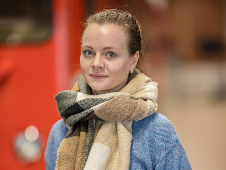 Elle Birkfeldt, järnvägsingenjör